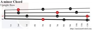 A minor Upright Bass chord