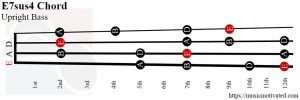 E7sus4 Double Bass chord
